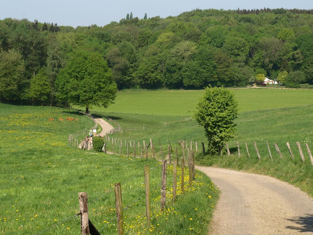 Buitenplaats De Mechelerhof Мехелен Экстерьер фото